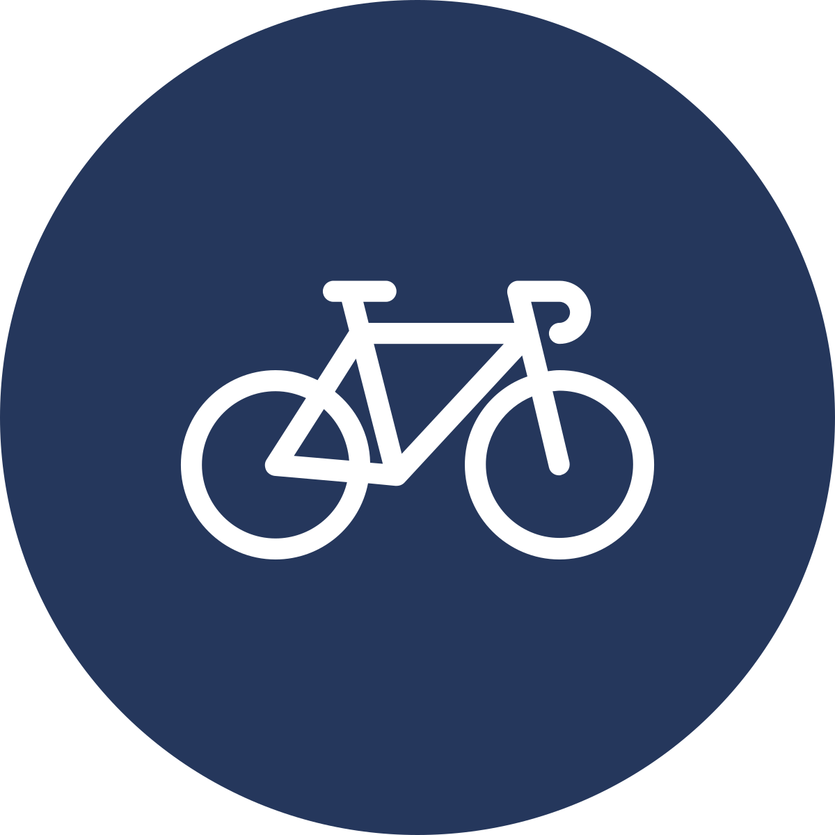 bike icon